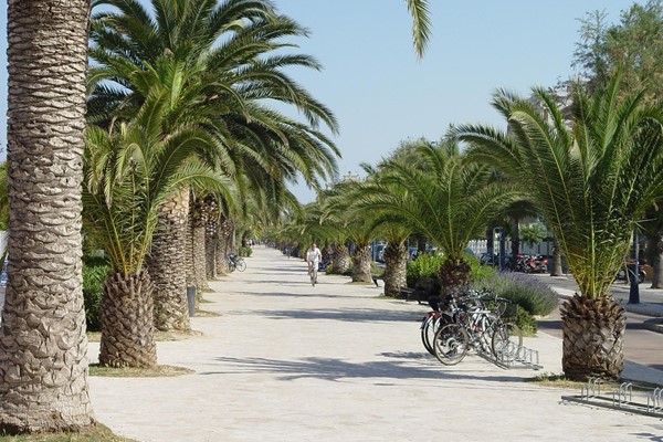 MARE  E TOUR NELLE MARCHE